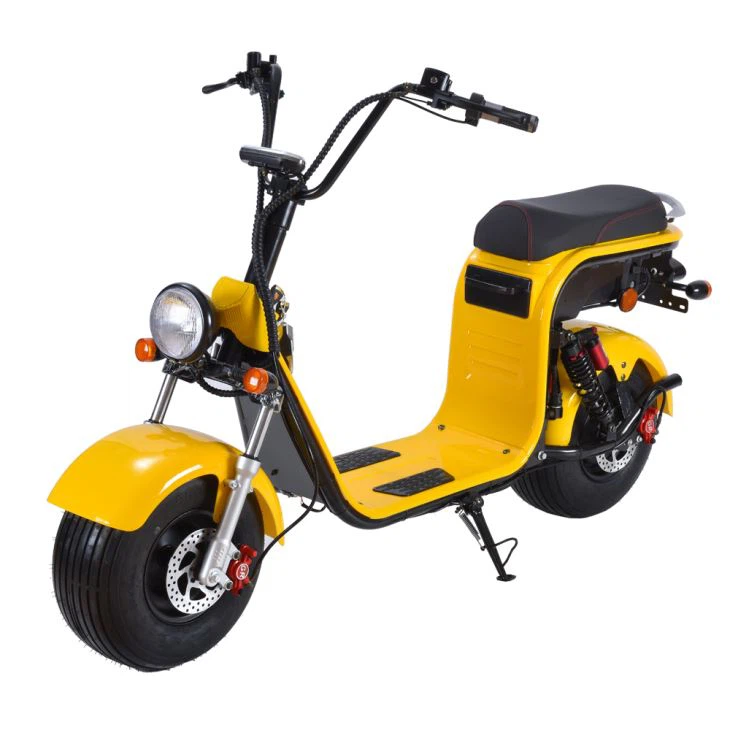 Citycoco Kids Electric Motorcycle