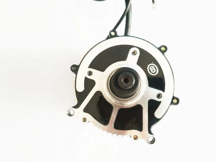 60V-1000W-Motor-Electric-rickshaw-Motor-3000rpm(001)